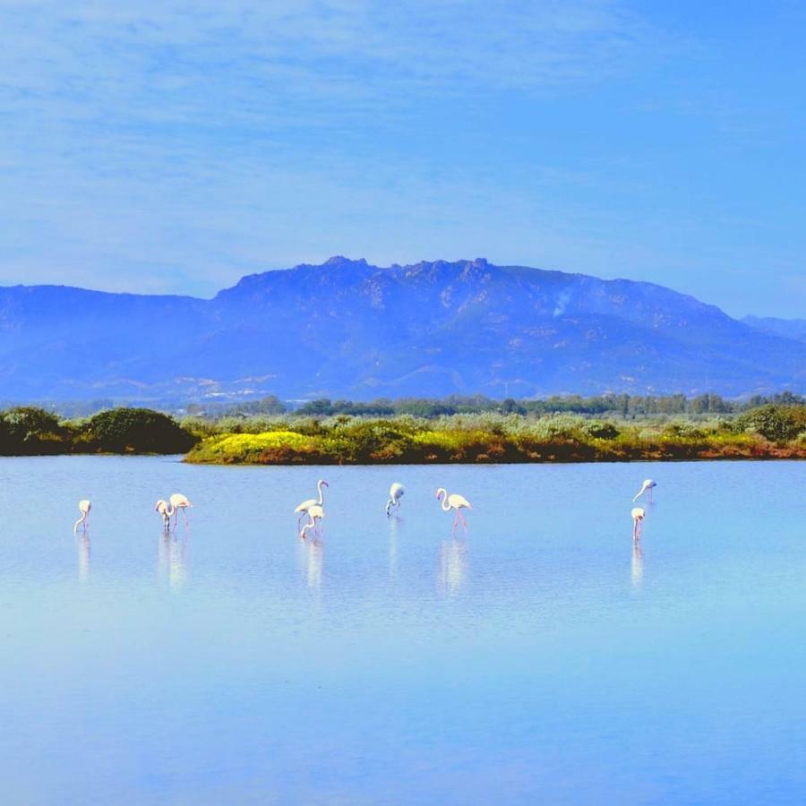 Вилла Sa Caladroxa Вилла-Сан-Пьетро Экстерьер фото